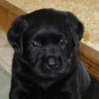 herb's picture